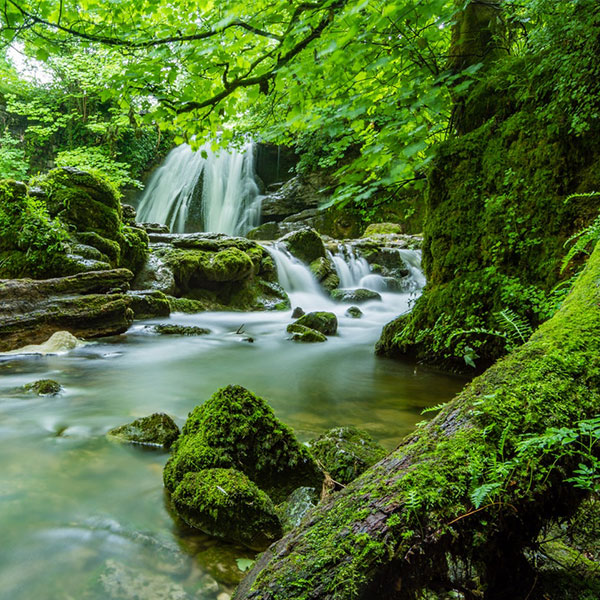 翠绿山水湖畔